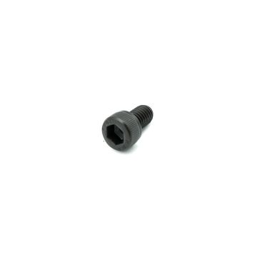 Socket Cap Screw-M6 x 10 Pkg of 10