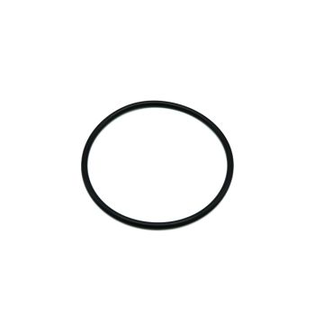 O-ring BP-120
