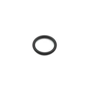 O-Ring P-24