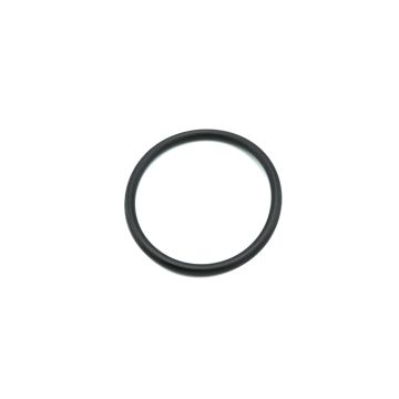 O-Ring P-75