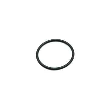 O-Ring P-48