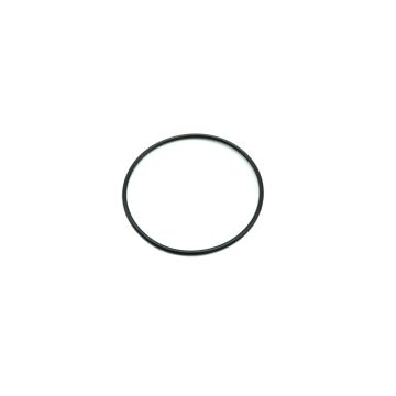 O-Ring S-55