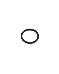 O-Ring P-21